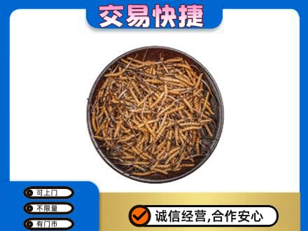 江门市恩平礼品回收虫草.jpg
