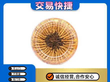 江门市恩平高价回收虫草礼盒